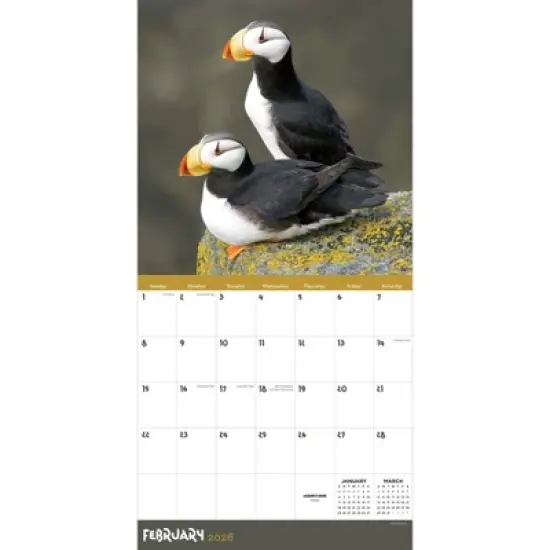 TF Publishing 13.5"x14.5" 2026 Wild Wall Calendar image {5}