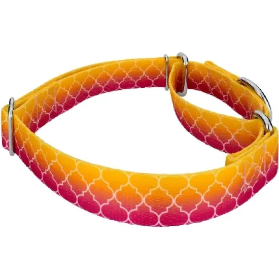 Country Brook Petz Fabulous Ombre Martingale Dog Collar image {2}