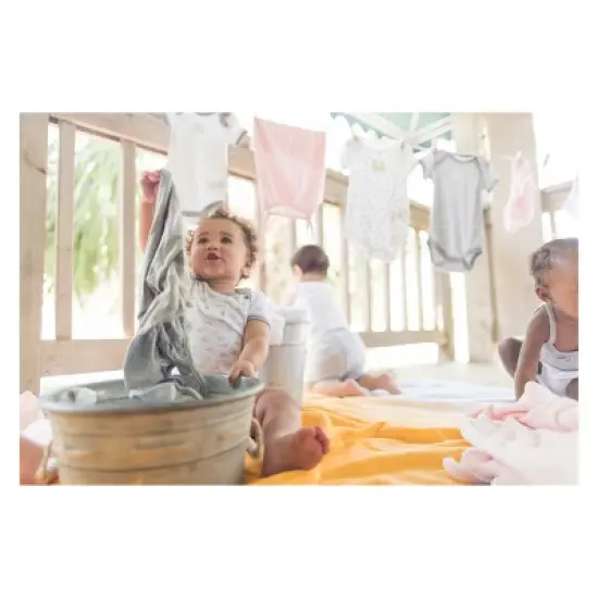 Burt's Bees Baby&reg; Organic Cotton 5pk Short Sleeve Bodysuit Set - Heather Gray image {2}