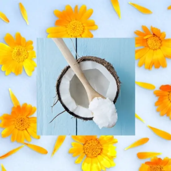 Raw Sugar The Sensitive One Hair Conditioner - 18 fl oz image {3}