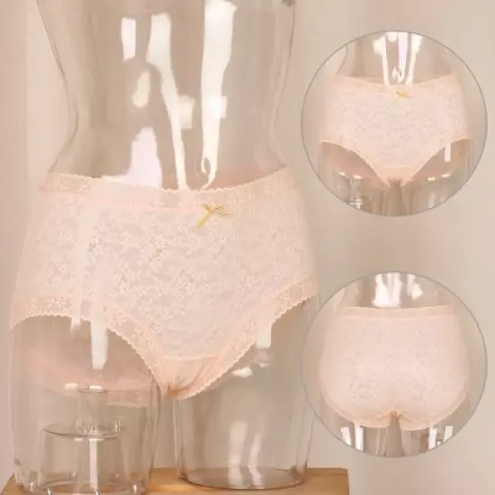 Agnes Orinda Women's Lace Trim High Rise Solid Brief Stretchy Rib Underwear image {1}