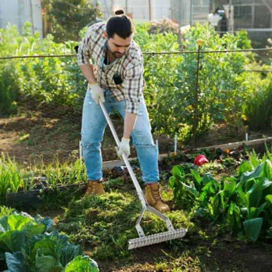 Tangkula 70" Garden Thatch Rake w/ Long Handle & 19 Curved Tines image {2}