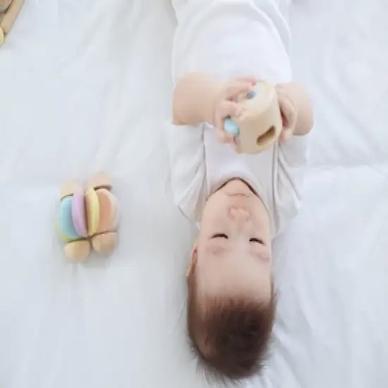 Plantoys| Peek-A-Boo Roller image {6}