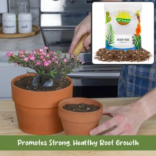 Soil Sunrise Desert Rose Potting Soil Mix, Repot, Sprout and Grow Potted Plants image {4}