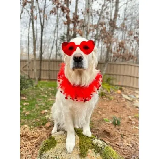 Midlee Valentine's Day Lips Decorative Dog Collar image {2}