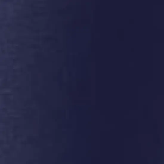 Swimsuits for All Women&rsquo;s Plus Size Chlorine Resistant Swim Bike Short image {2}