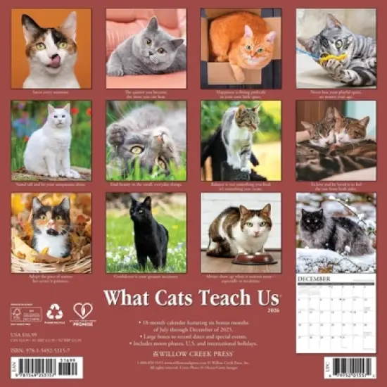 Willow Creek Press 12"x12" 2026 What Cats Teach Us Wall Calendar image {1}
