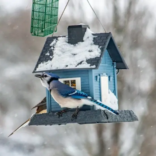 North States Blue Cottage Hopper Bird Feeder 11.25" Light Blue image {7}