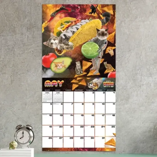 TF Publishing 2024 Wall Calendar 12"x12" Space Cats image {2}