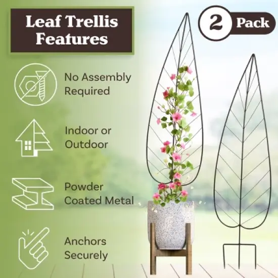 55in Trellis for Climbing Plants 2PK image {1}