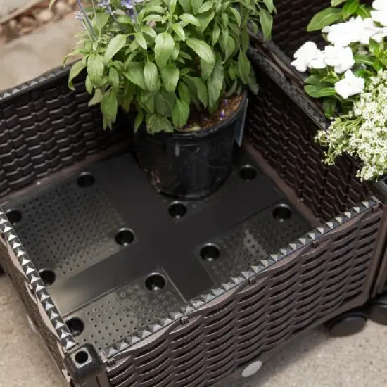 Barton 2-Piece Set Raised Garden Bed Planter Box with Wheels Plant Box, Brown image {2}