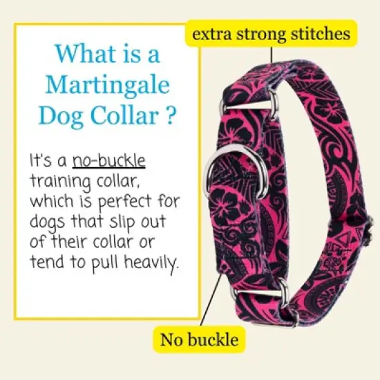 Country Brook Petz Martingale Dog Collar - Attitude Collection image {3}