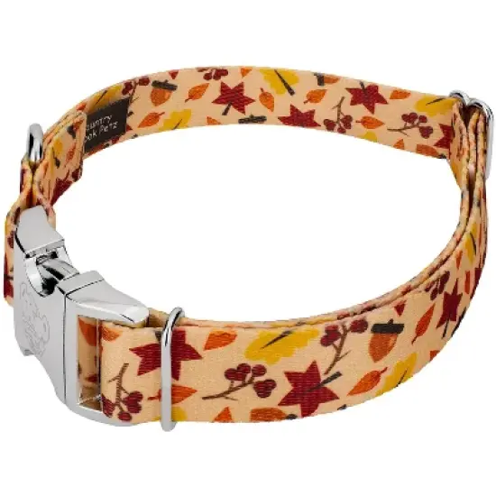 Country Brook Petz Premium Fall Foliage Dog Collar and Leash image {2}
