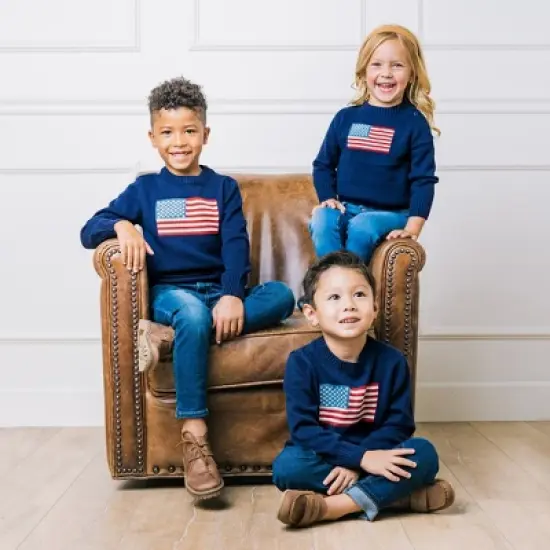 Hope & Henry Boys' Long Sleeve Flag Intarsia Crew Neck Pullover Sweater, Infant image {2}