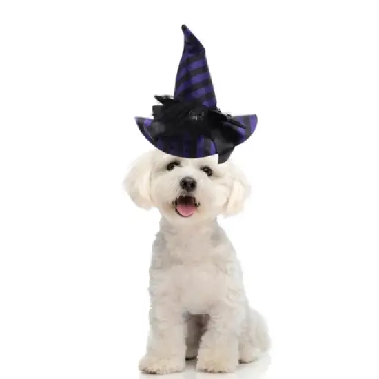 Unique Bargains Halloween Pet Holiday Headdress 5.12"x5.91" Purple image {1}