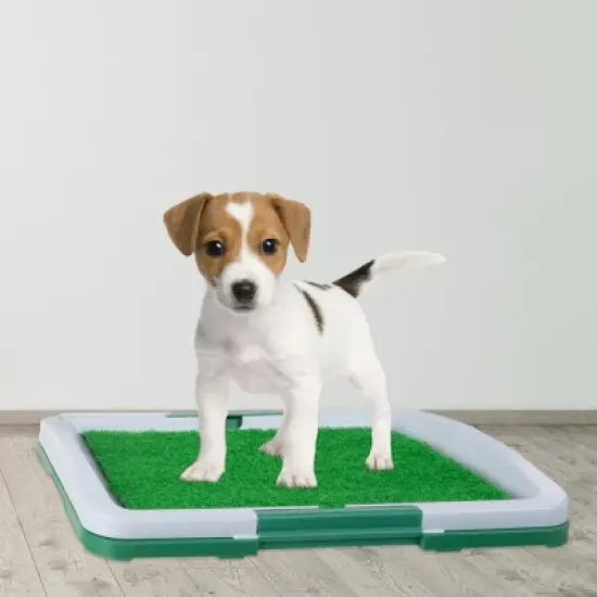 Pet Adobe Artificial Grass Pee Pad Set for Dogs image {1}