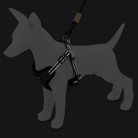 Voyager Step-In Flex Adjustable Dog Harness for All Breeds image {4}