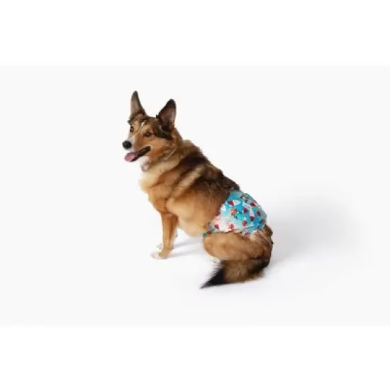 Midlee Christmas Pattern Reusable Dog Belly Bands - 2 Pack image {3}