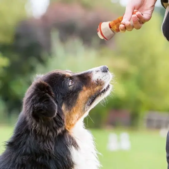 Good 'n' Fun Triple Flavor with Chicken, Pork and Beef Bone Rawhide Dog Treats - 4.7oz image {7}