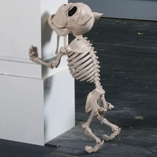 Joyfy 2 PCS 16" Halloween Decoration Dog Puppy Skeleton Full Body Posable for Spooky Scene Decor Halloween Party Favors Haunted House Graveyard Props image {8}