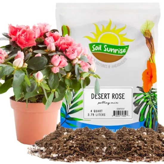 Soil Sunrise Desert Rose Potting Soil Mix, Repot, Sprout and Grow Potted Plants image {8}