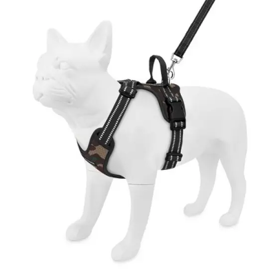 Voyager Air Frontier Adjustable Dog Harness and 6ft Leash Combo,Breathable Mesh image {5}