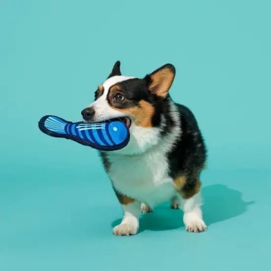 BARK Super Chewer Blue Rad Herring Fish Dog Toy image {2}