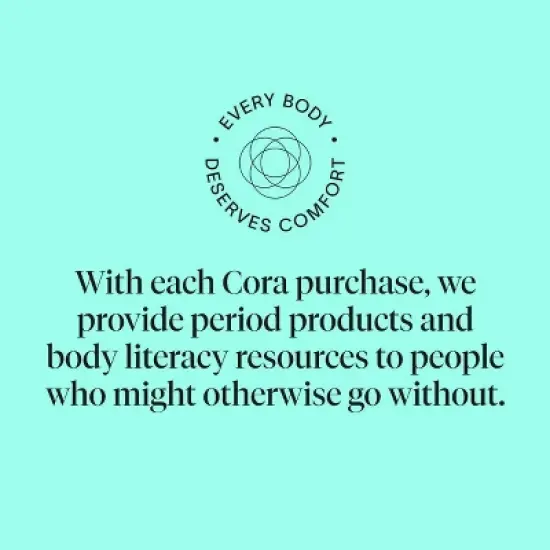 Cora Heat Patch - Iron - 6ct image {5}