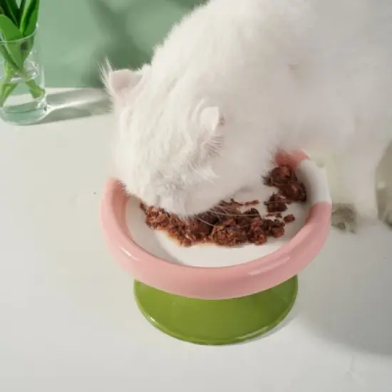 Fairyland&trade; - Elevated Ceramic Cat Bowl &ndash; Anti-Slip Raised Pet Feeder for Cats & Small Dogs, Ice Cream Style Design image {2}