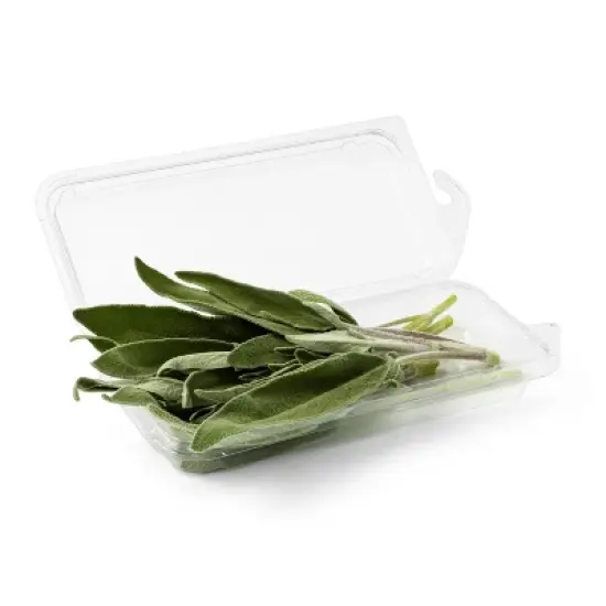 Organic Sage - 0.5oz - Good & Gather&trade; image {2}