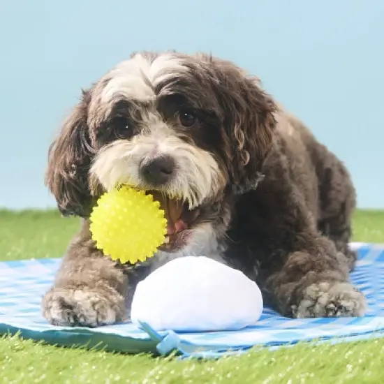 BARK Spring Picnic in the Bark Deviled Begg Dog Plush Toy - 2pc image {5}