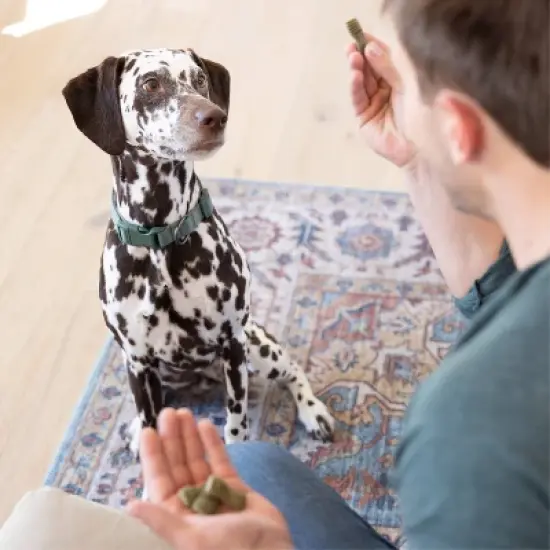 Greenies Anytime Bites Dental Peppermint Flavor Dog Treats   image {4}