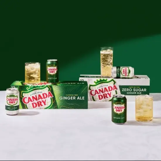 Canada Dry Ginger Ale Soda - 12pk/12 fl oz Cans image {5}