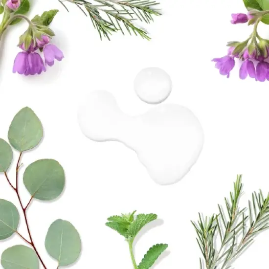 Tree To Tub Dry Scalp Spray - Intensive Scalp Moisturizer for Men & Women, Tea Tree Leave in Moisturizer for Dry Scalp, Flaky Buildup & Excess Oil image {7}