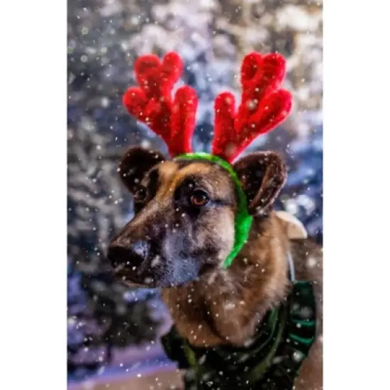 Midlee Christmas Reindeer Antlers with Ears for Large Dogs image {2}