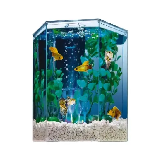 Tetra Bubbling LED Aquarium Kit 1gal Hexagon Shaped with Color-Changing Light Disc Aquarium Decor image {1}