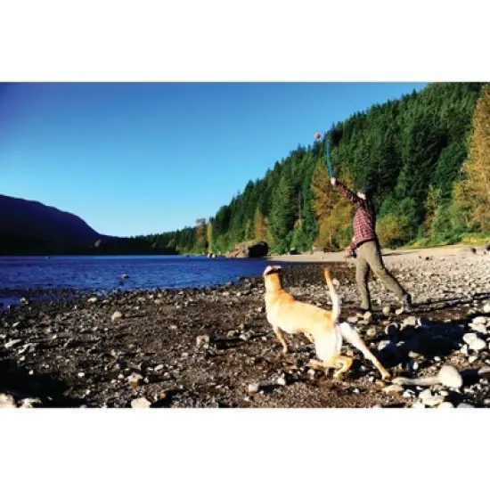 Chuckit! Ball Launcher Dog Toy - M - 22" image {3}