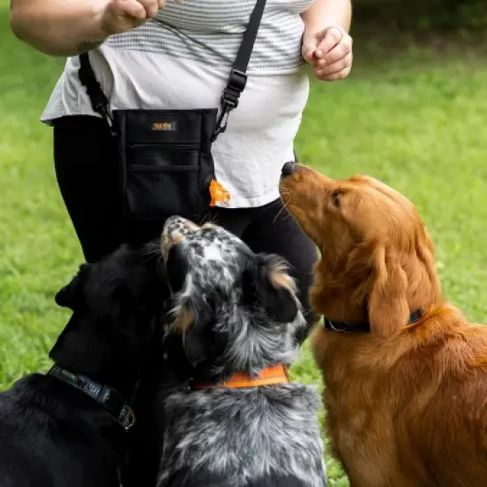 Mighty Paw Dog Treat Pouch | Magnetic Closure, Poop Bag Holder, Hands-Free image {2}