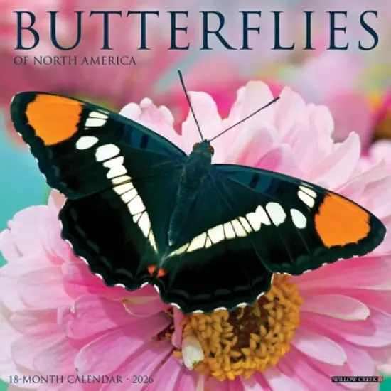 Willow Creek Press 2026 Butterflies Wall Calendar image {5}