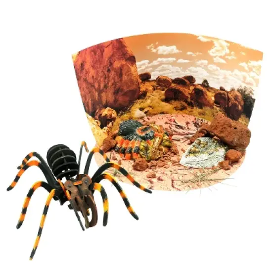 WILD! Environmental Science Extreme Spiders of the World image {3}