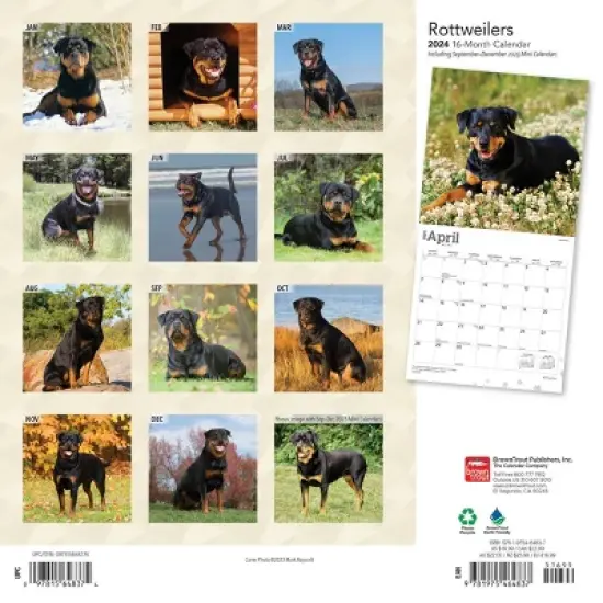 Browntrout 2024 Wall Calendar 12"x12" Rottweilers image {1}