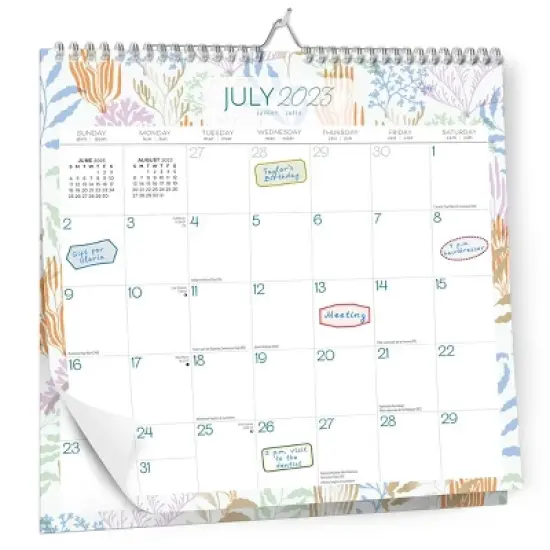 Plato 2023-2024 Wall Calendar 12"x12" Seaside Currents image {3}