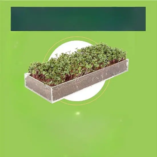 Window Garden Microgreens Grow Kit - Hydroponic Growing Kit image {1}