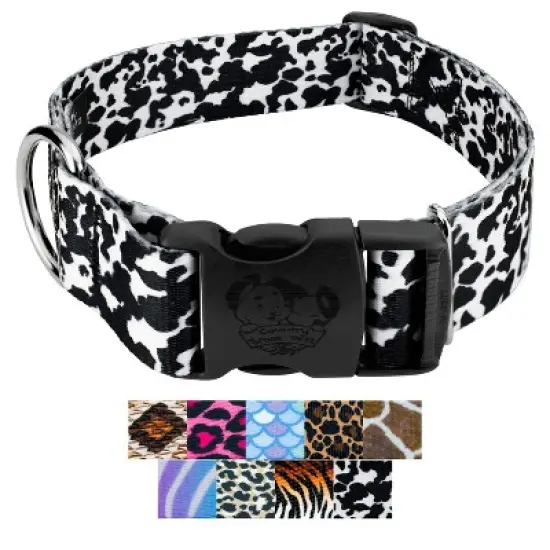 Country Brook Petz HossFit Jr Wide Deluxe Dog Collar - Animal Print Collection image {6}
