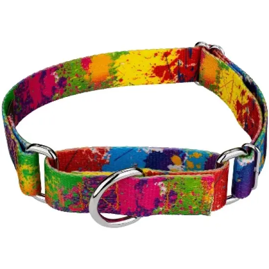 Country Brook Petz Paint Splatter Martingale Dog Collar image {6}
