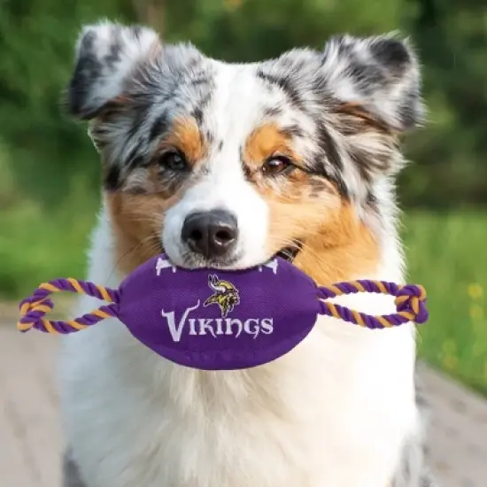 NFL Minnesota Vikings Nylon Football image {3}