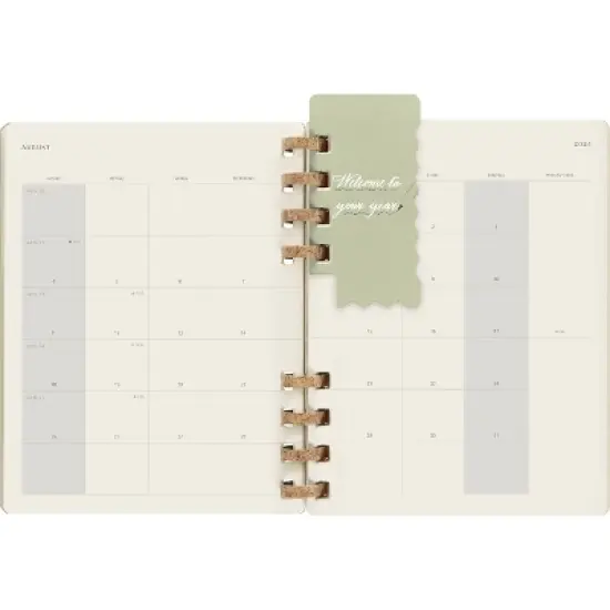 Moleskine 2024 Weekly Planner Spiral XL 10"x7.55" Kiwi image {9}