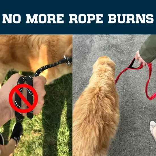 Locking Carabiner Nylon Dog Leash &ndash; 1 or 2 Handle &ndash; Enthusiast Gear image {12}