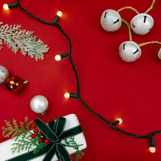 Northlight LED G12 Berry Christmas Lights - Warm White - 16' Black Wire - 50 ct image {2}