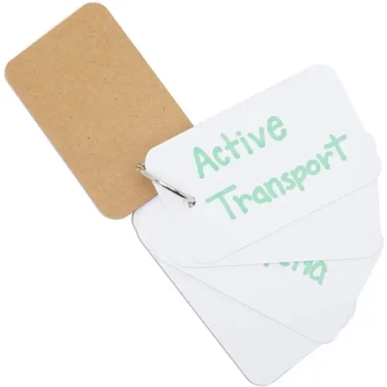 Infinite Curiosity 8 Pack Blank Flash Cards with Rings for Studying with 50 Sheets Each, 250gsm Index Notecards, 2.2 x 3.5 In image {2}